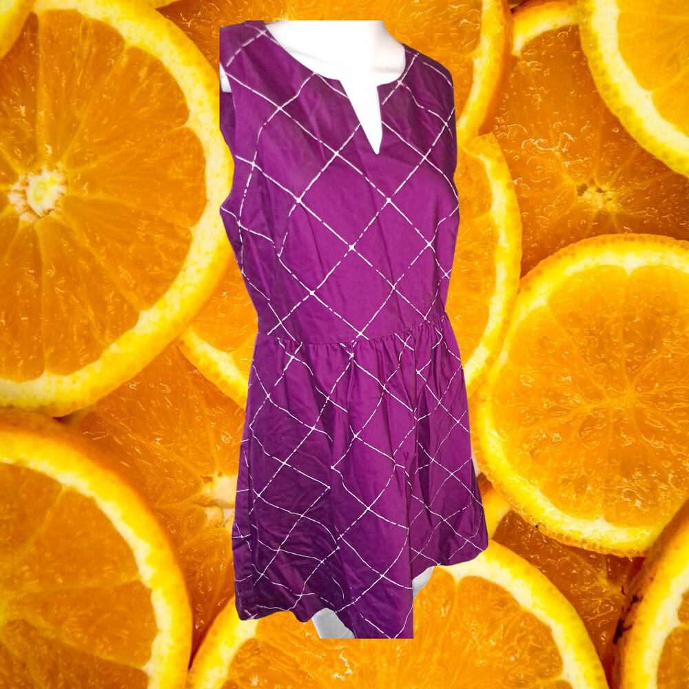 The Limited Purple with White Sleeveless V‎ Neck Dress Size 10